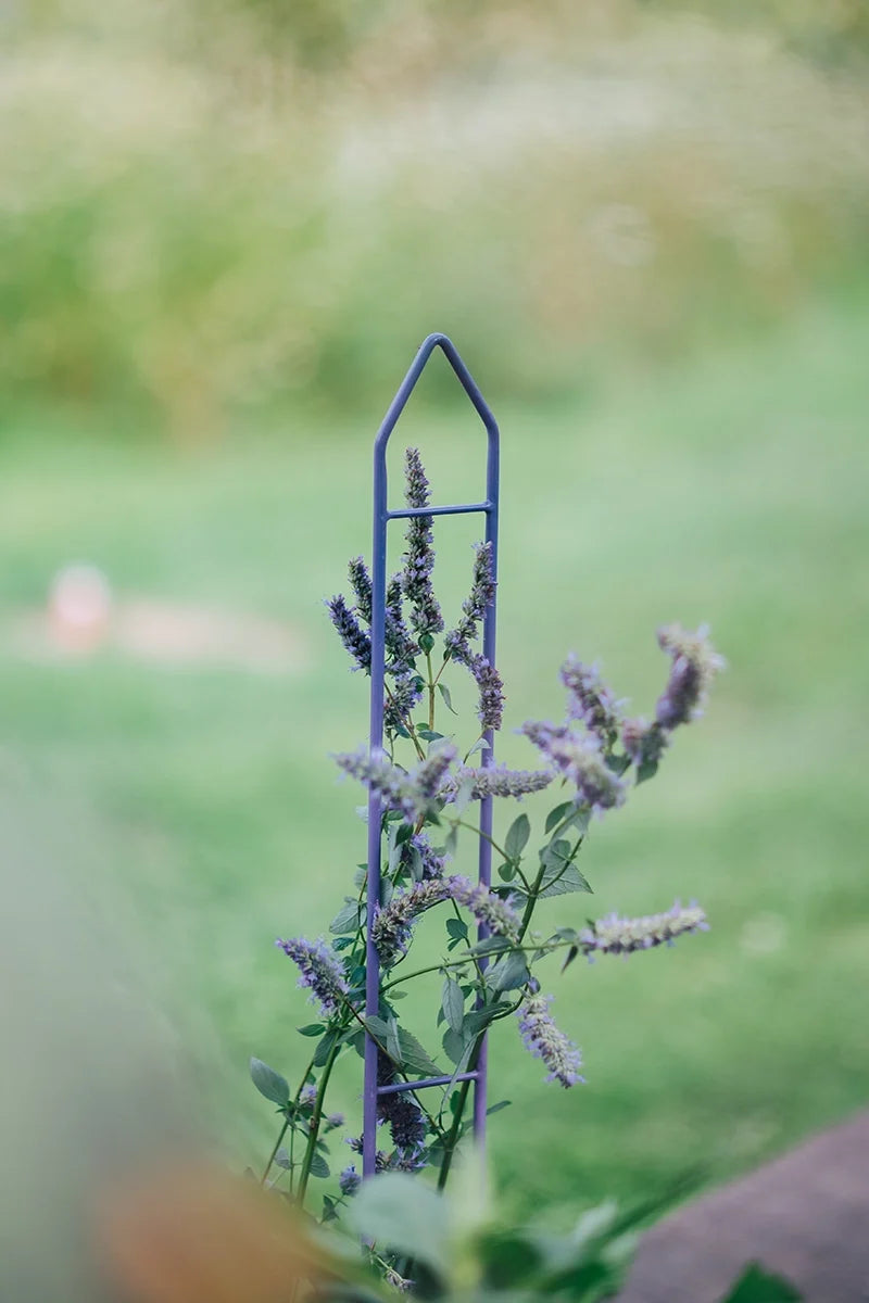 Zenith™ Plant Stakes, 45”, Set of 3