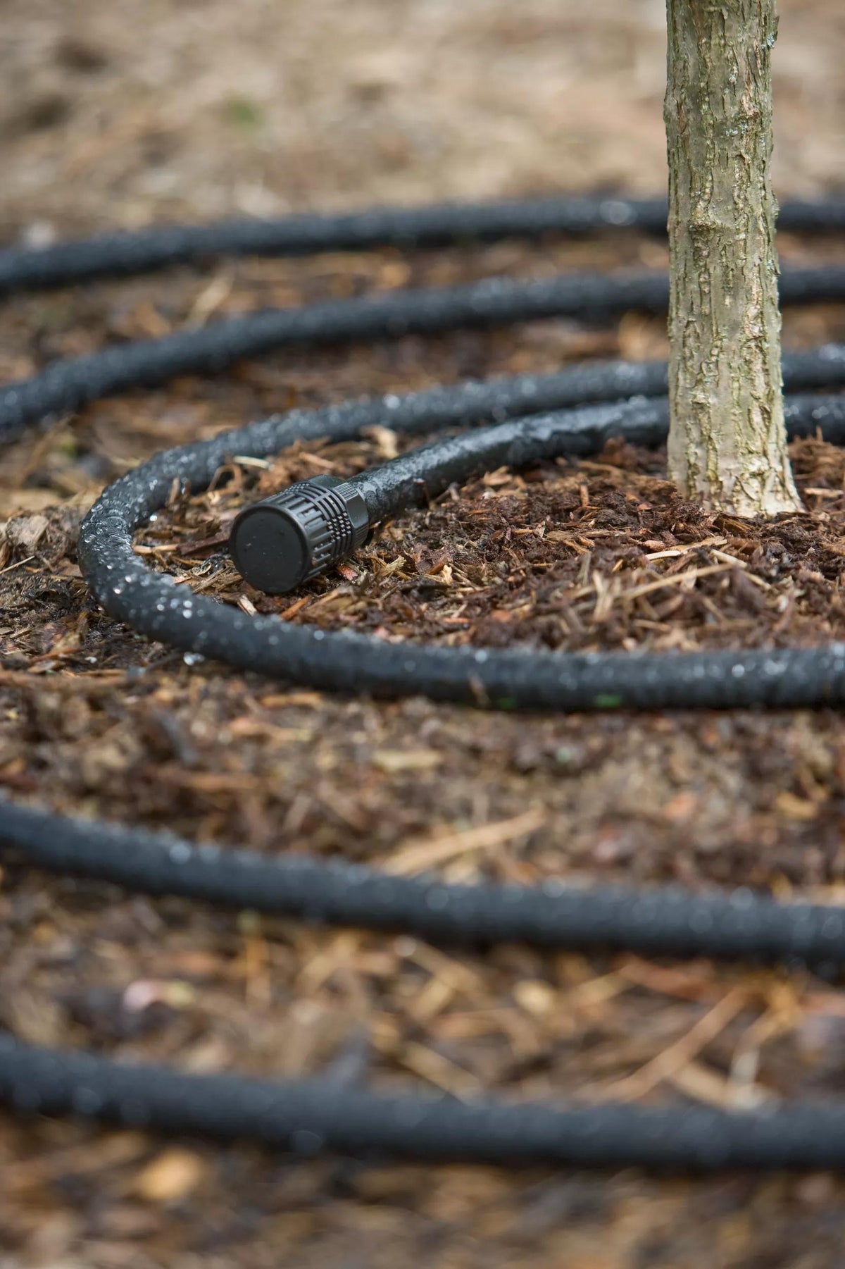 Snip-n-Drip™ Soaker Hose System