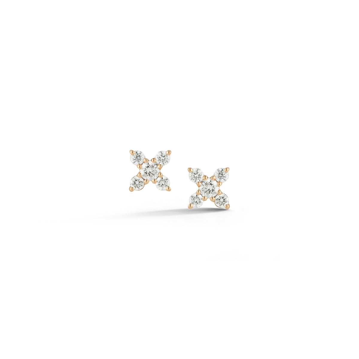 Ava Bea X Studs