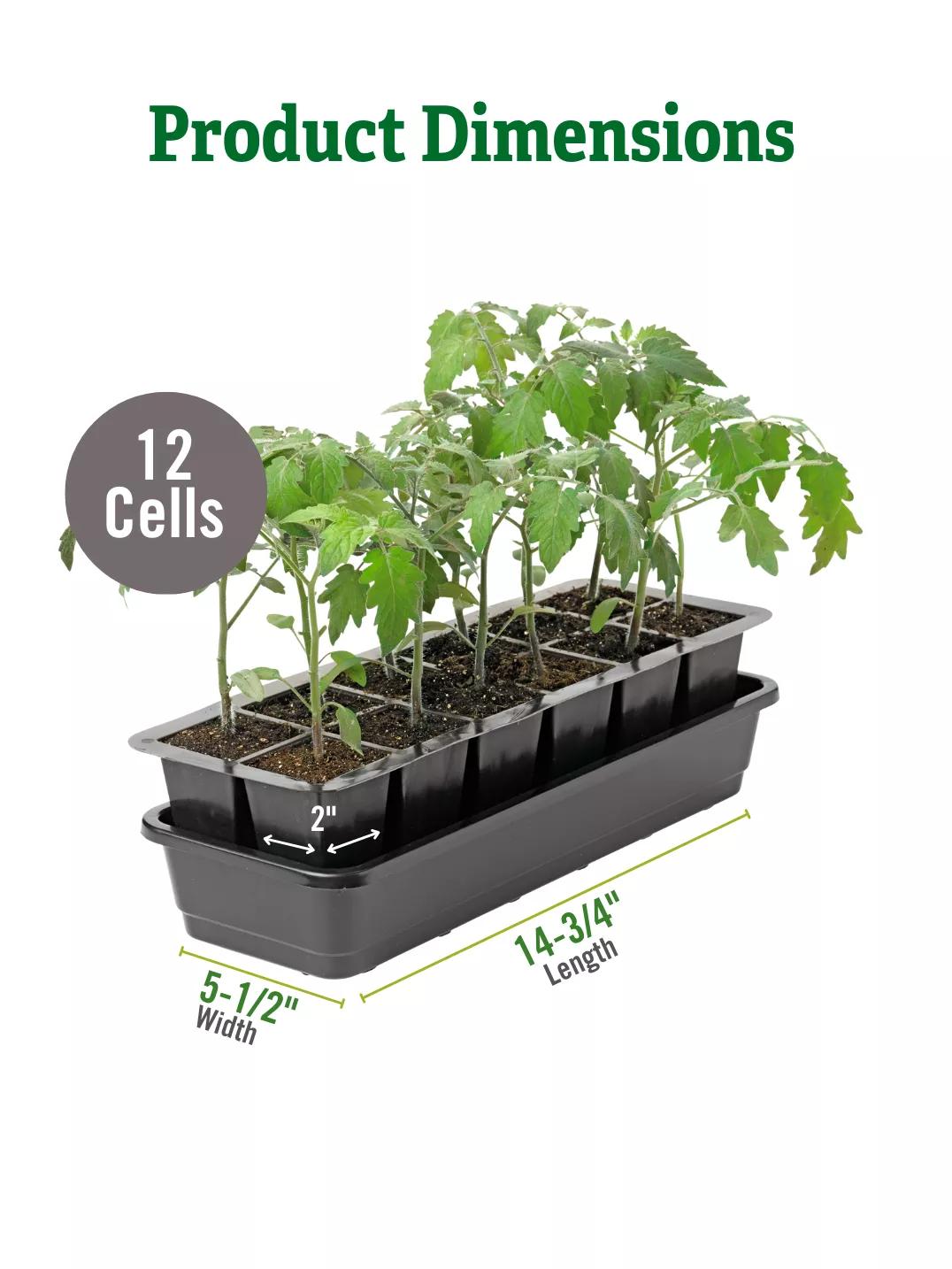 GrowEase™ Seed Starter Kit