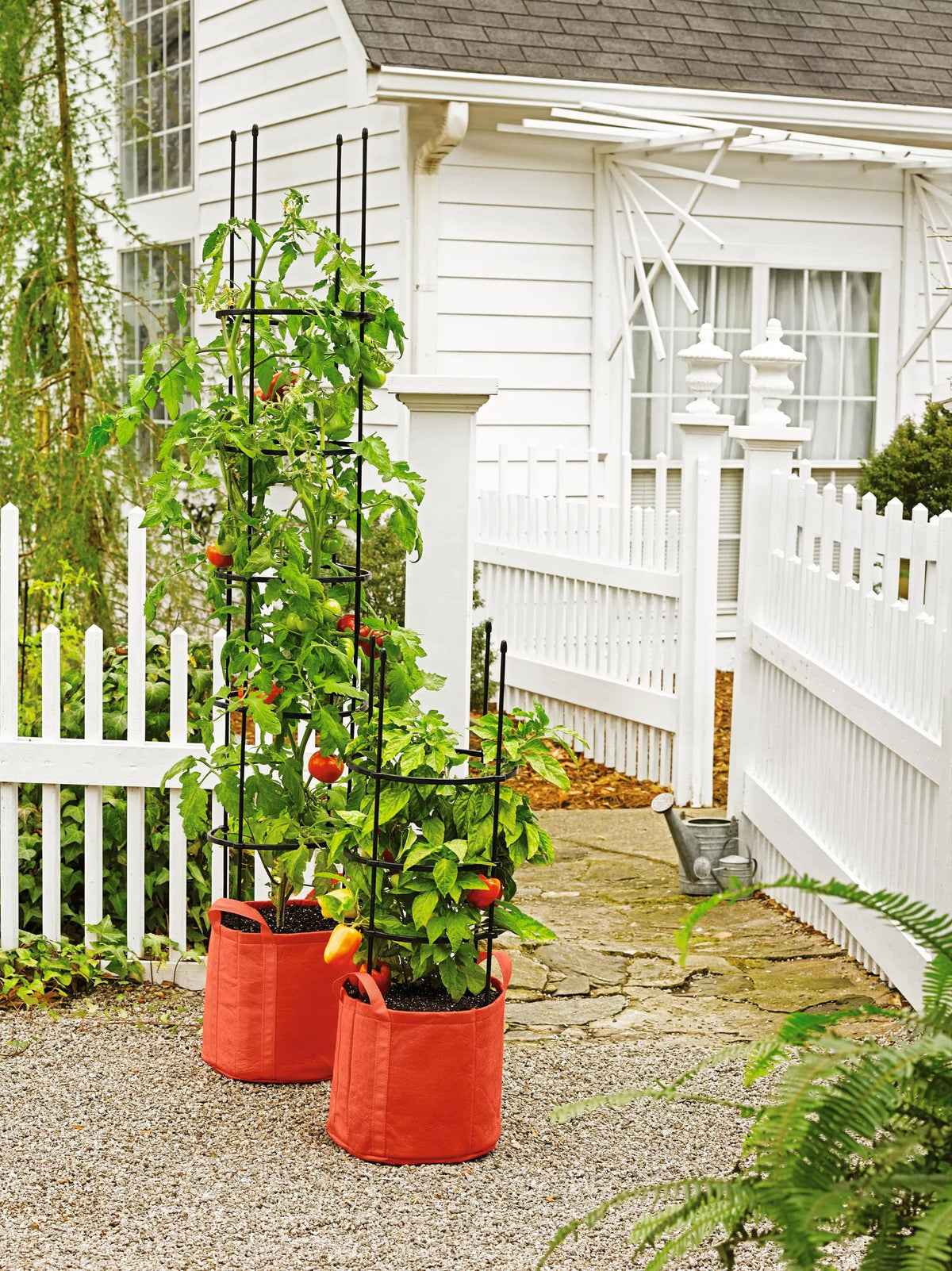 Gardener's Best® Tomato Grow Bag Set