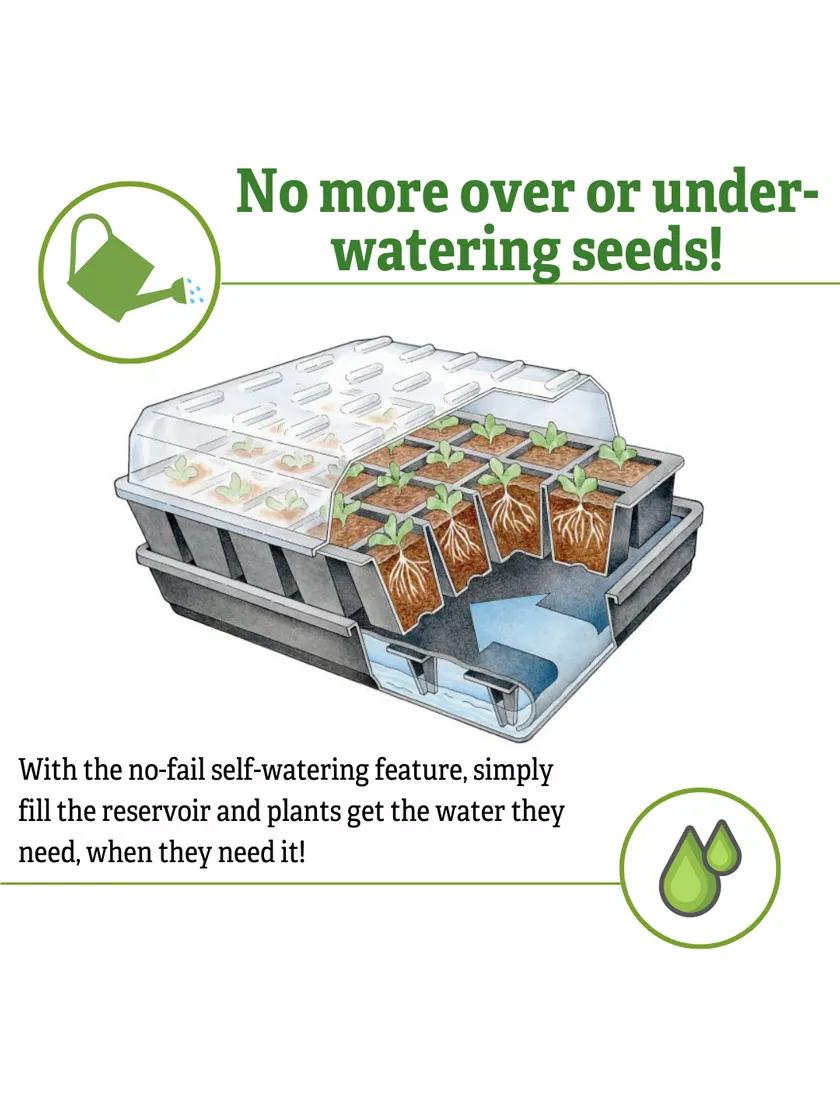 Organic GrowEase™ Seed Starting Success Kit
