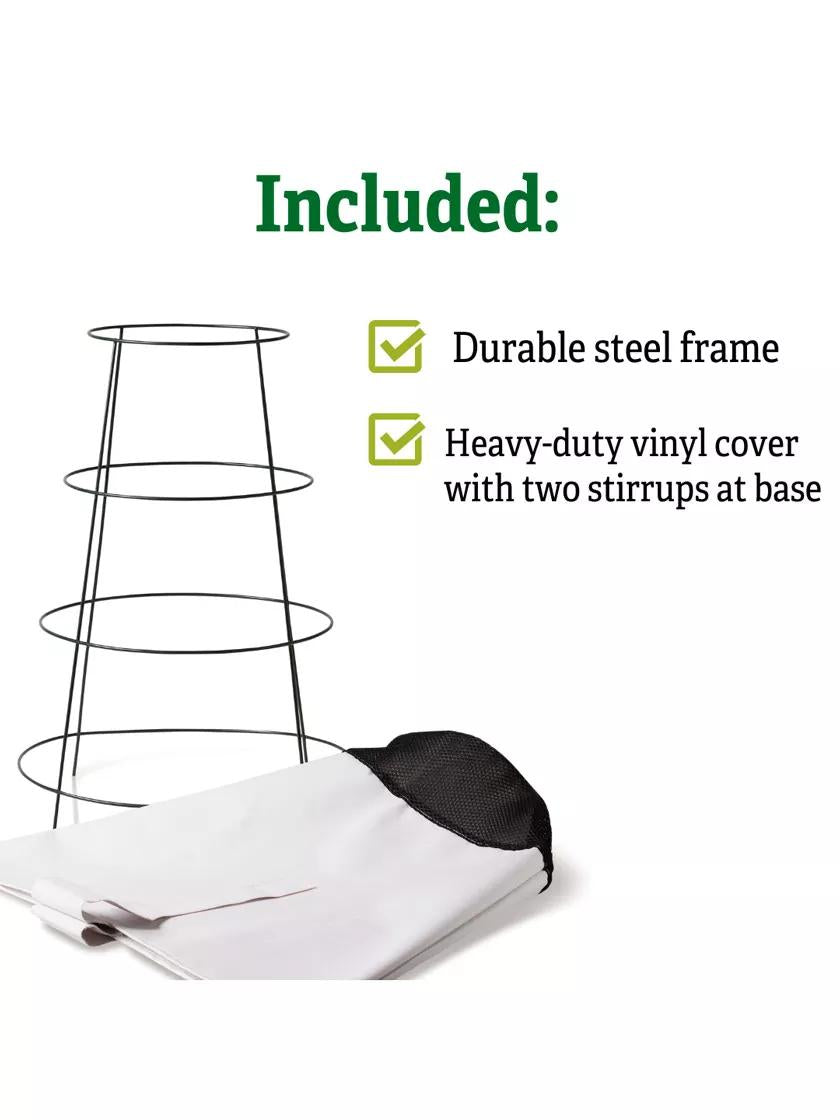 Rosy Cozy® Rose Cone, Large