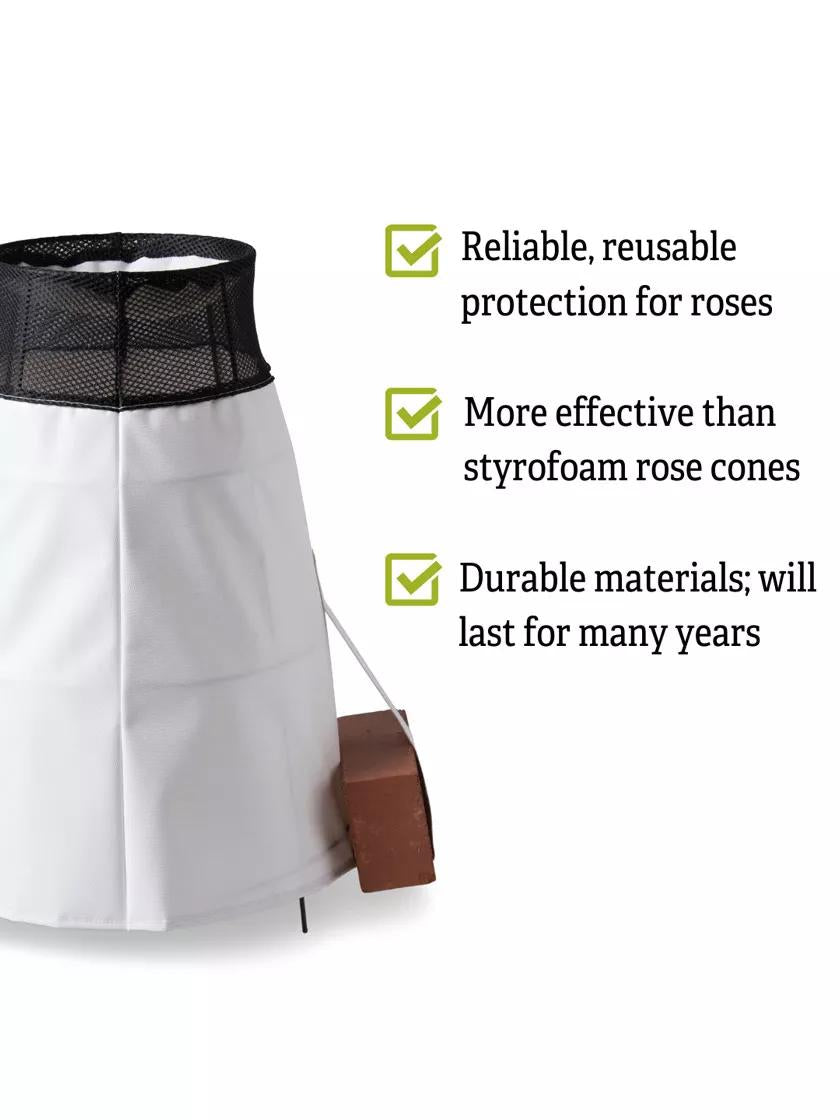 Rosy Cozy® Rose Cone, Large