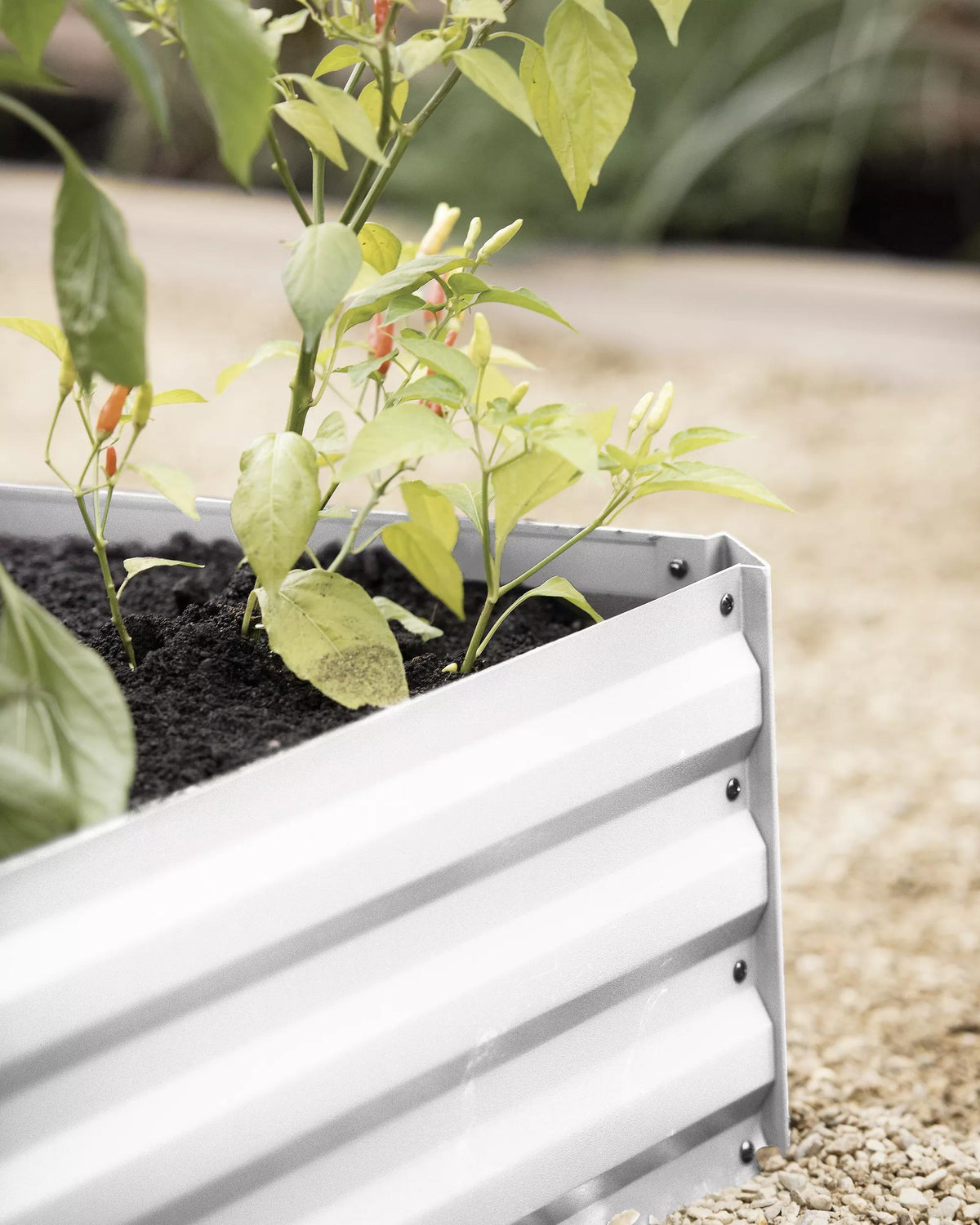 Demeter™ Corrugated Metal Raised Bed, 34" x 68" (12" D)