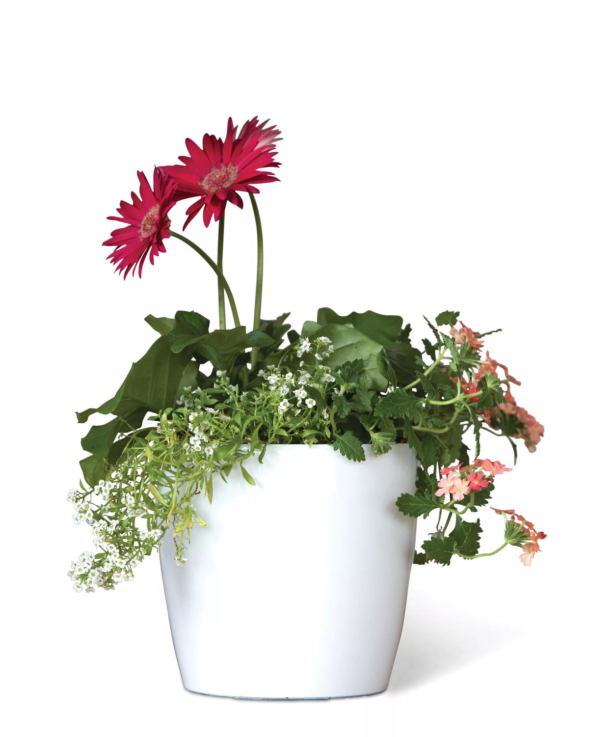 Viva™ Round Self-Watering Planter, 7" Diameter