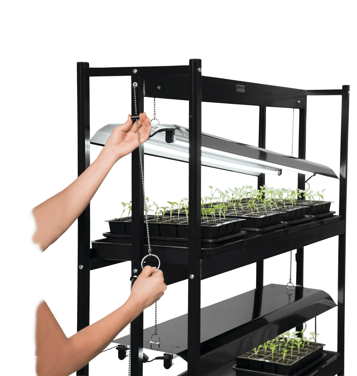 LED SunLite® Tabletop Garden