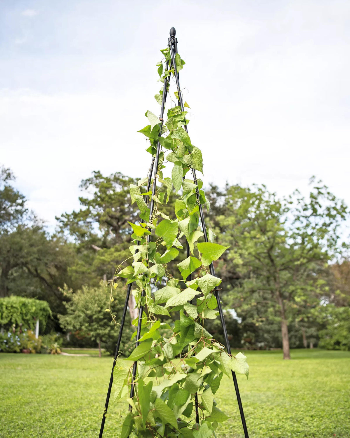 Titan™ Teepee Trellis