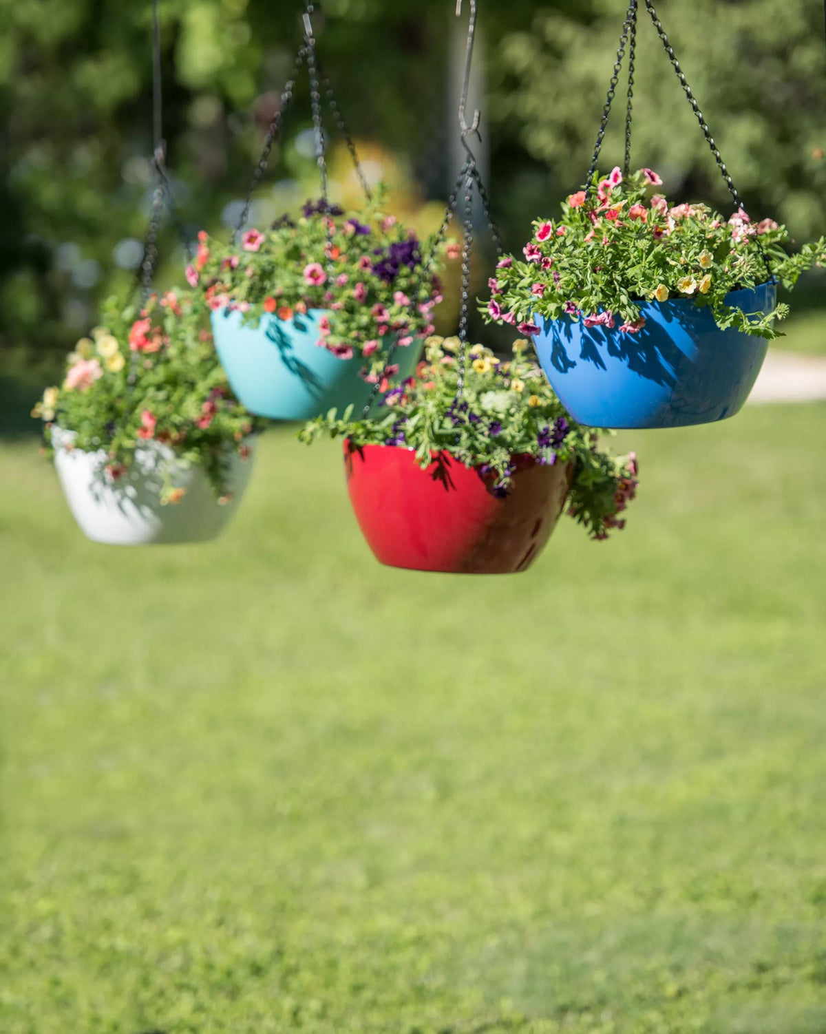 Viva™ Self-Watering Hanging Basket, 14" Diameter