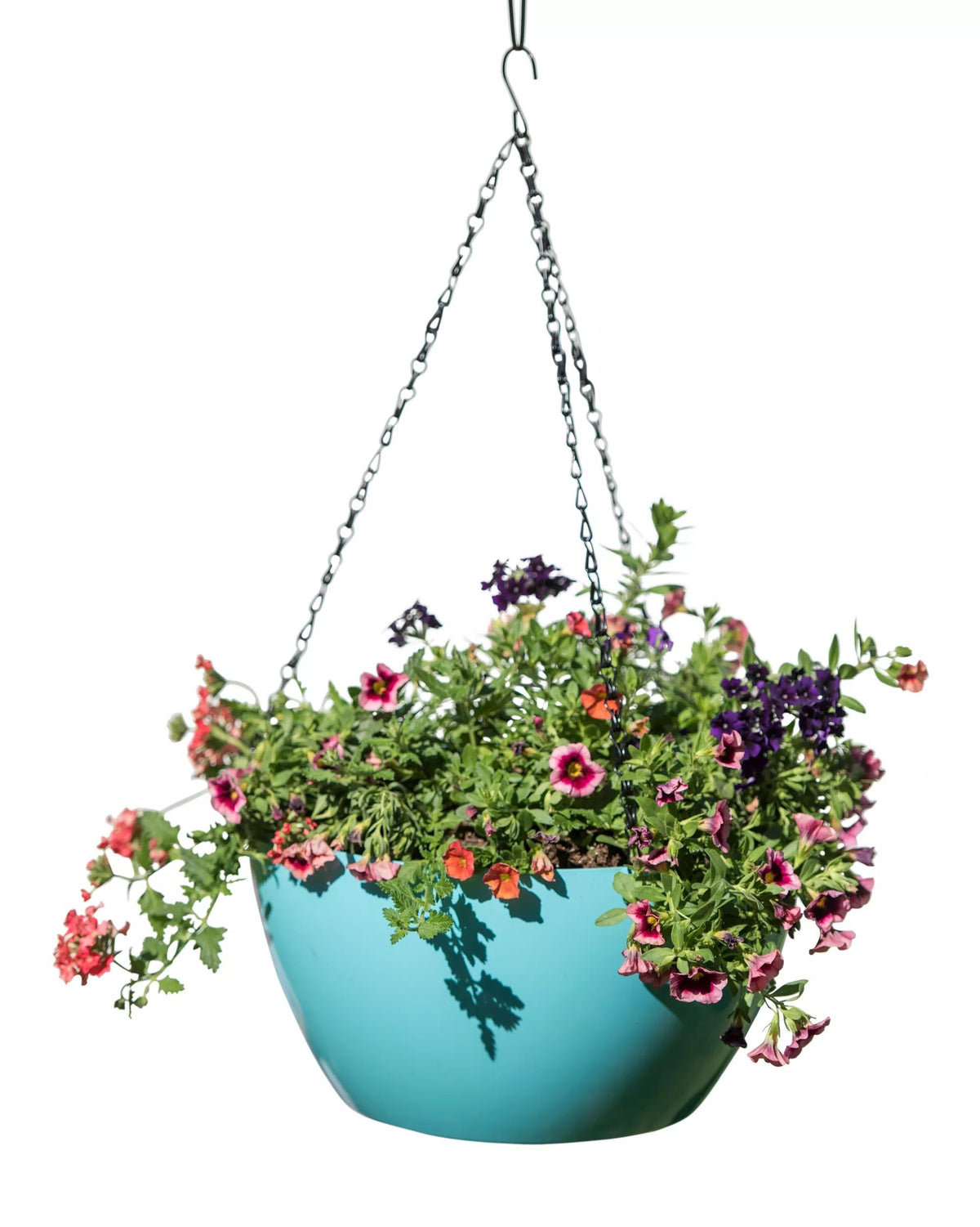 Viva™ Self-Watering Hanging Basket, 14" Diameter