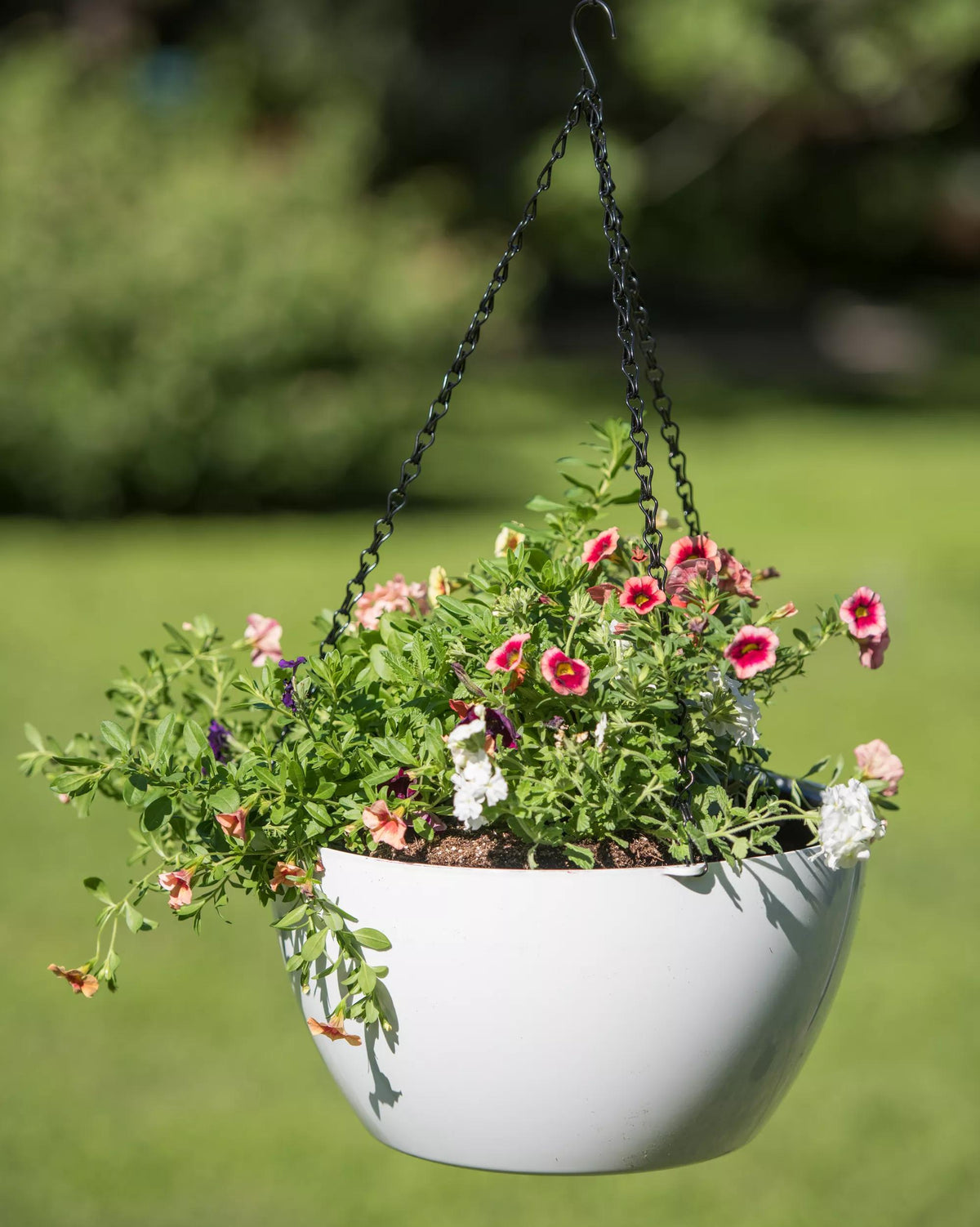 Viva™ Self-Watering Hanging Basket, 14" Diameter