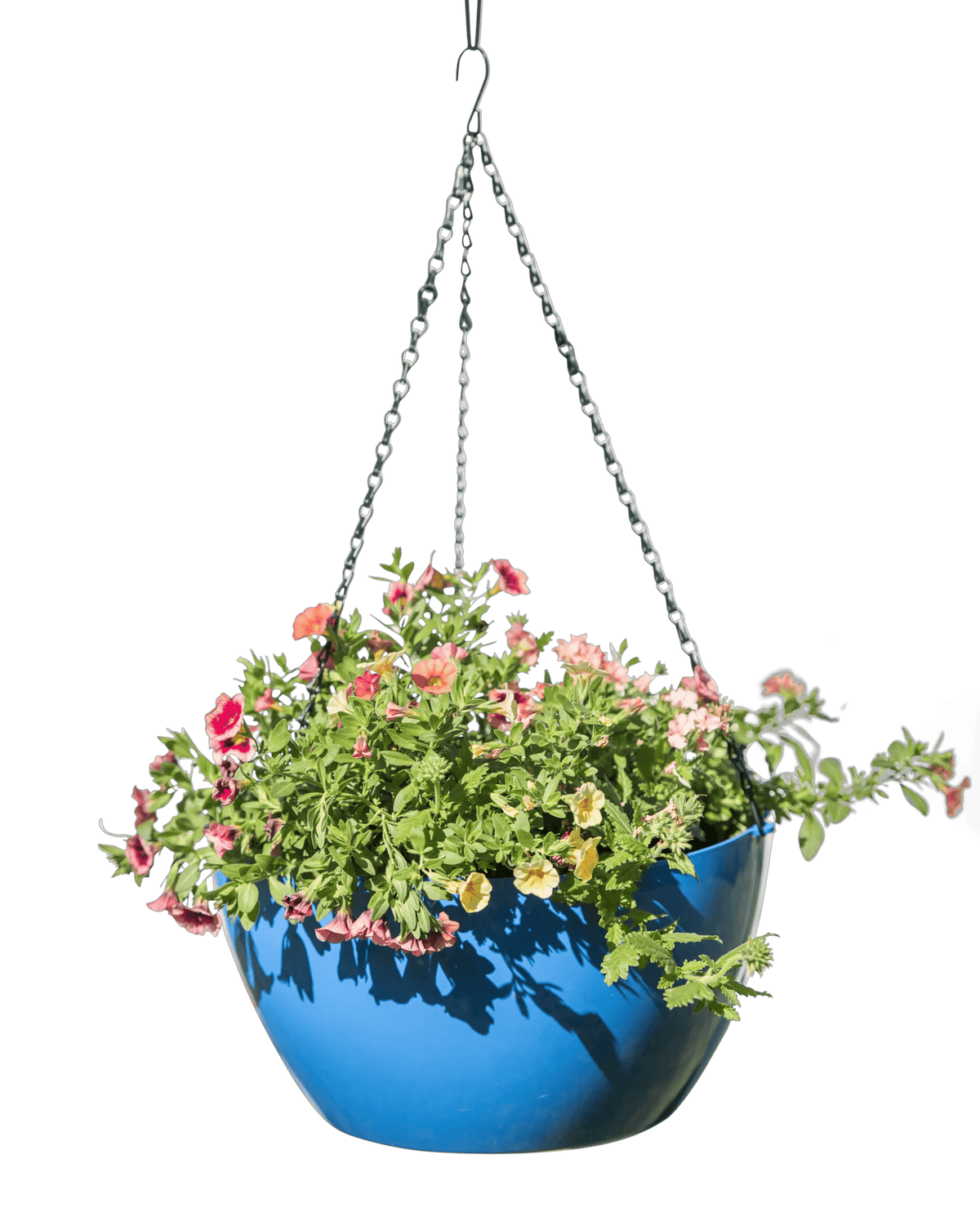 Viva™ Self-Watering Hanging Basket, 14" Diameter