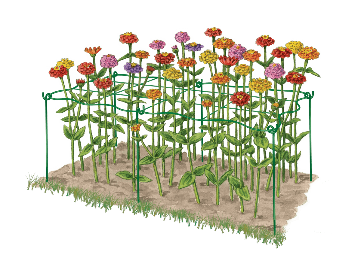 Cut Flower Grid Support, Set of 2
