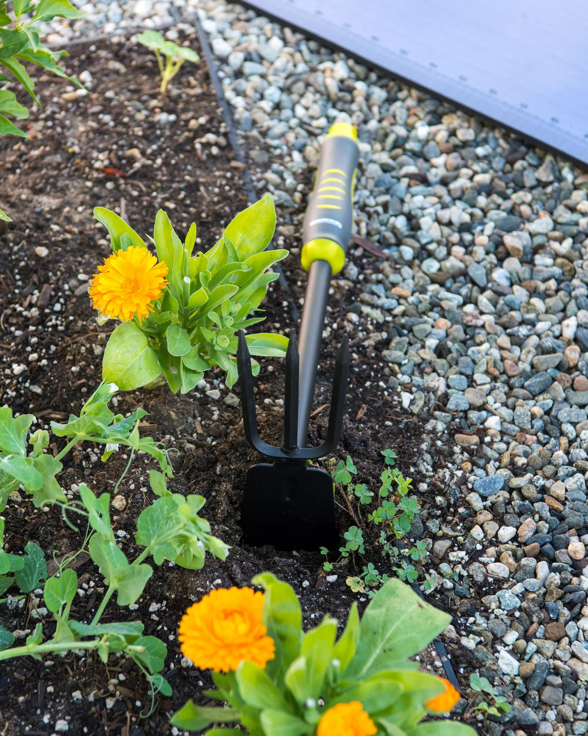 Gardener's 2-in-1 Short Handle Hoe and Cultivator