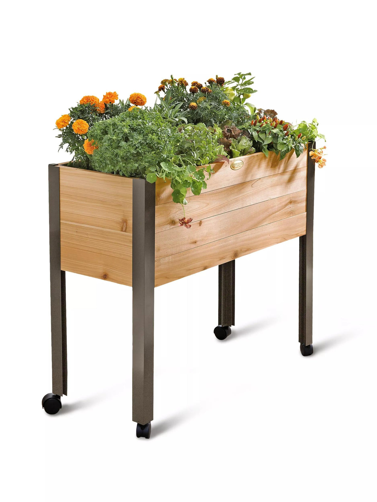 Rolling Patio Garden (11" D)