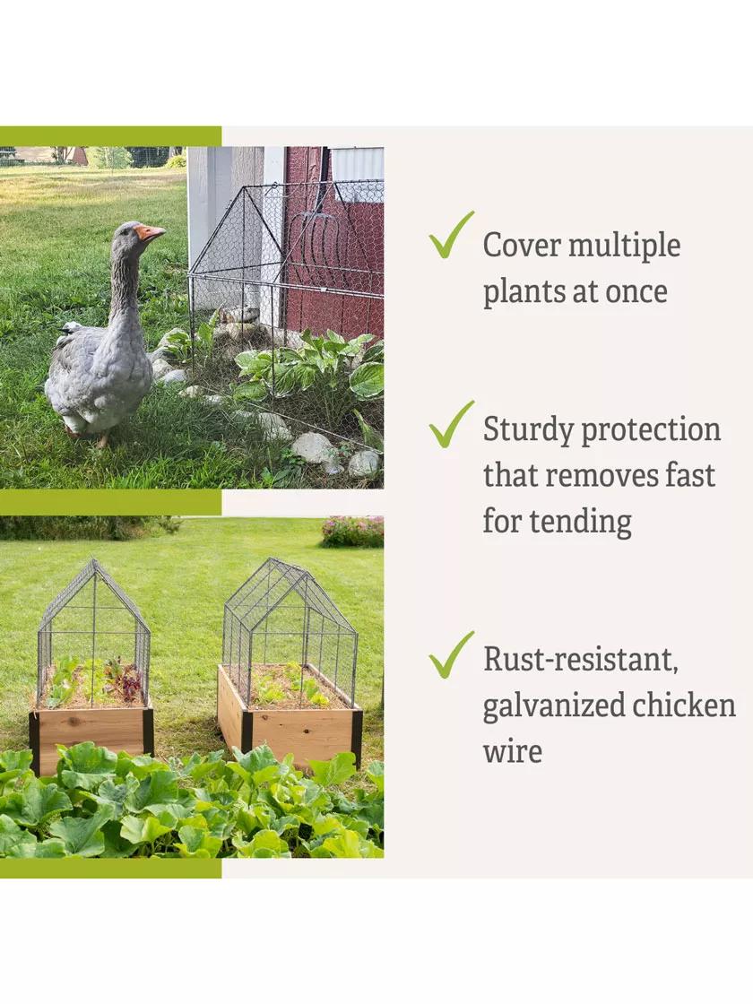 Chicken Wire Crop Coop