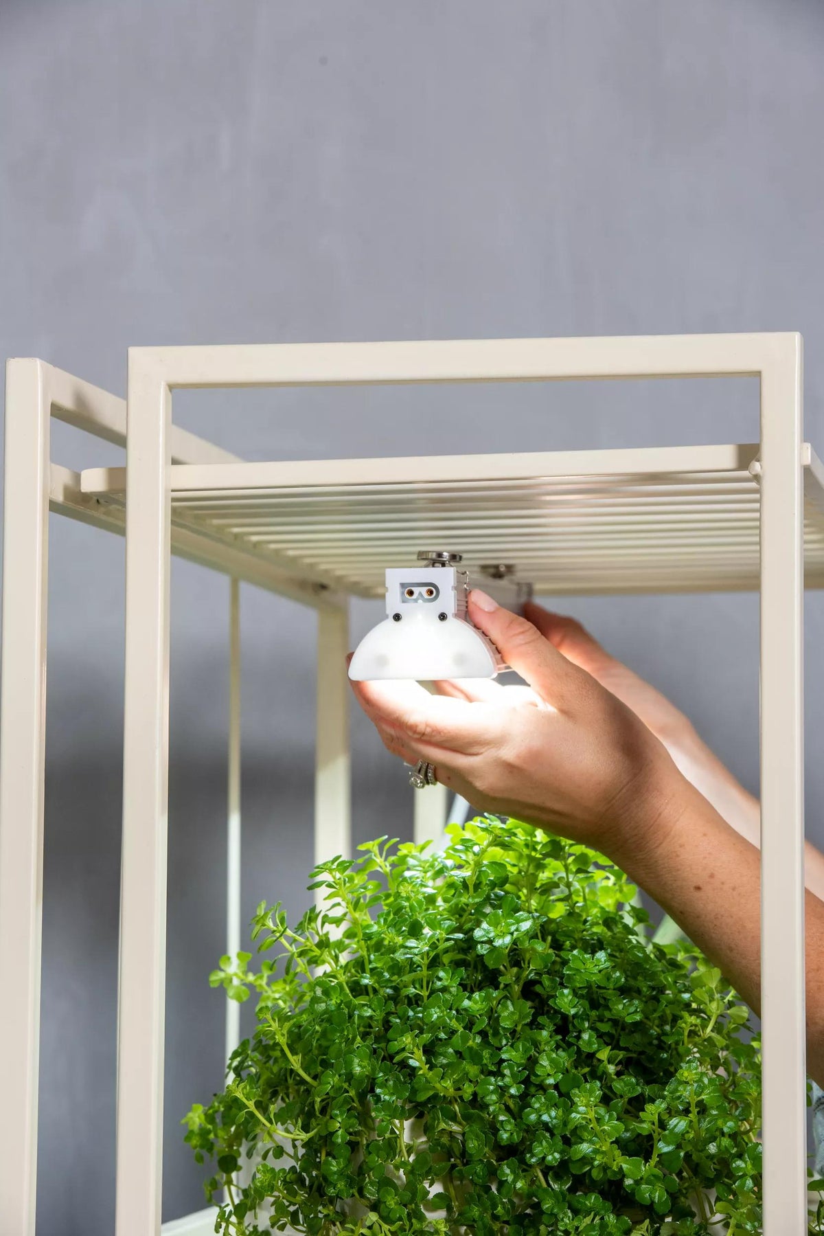 Oslo™ 2-Tier LED Grow Light Garden, 2 Fixtures
