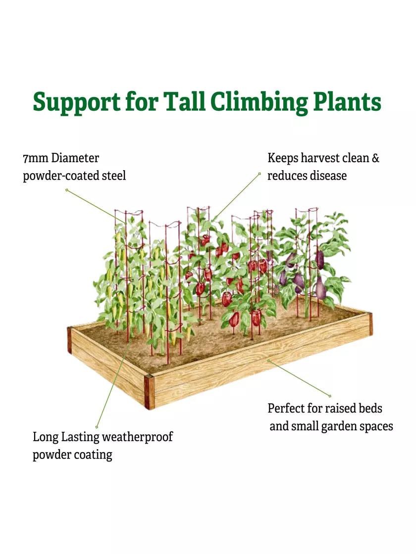 Stacking Tomato Ladders, Set of 6