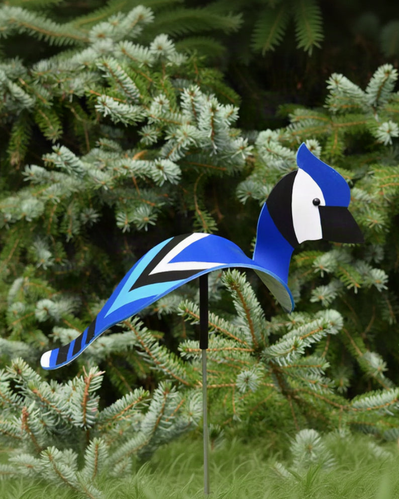 Florida Dancing Birds®, Blue Jay