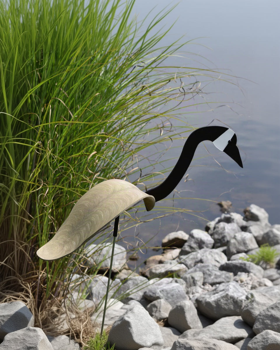 Florida Dancing Birds®, Canada Goose