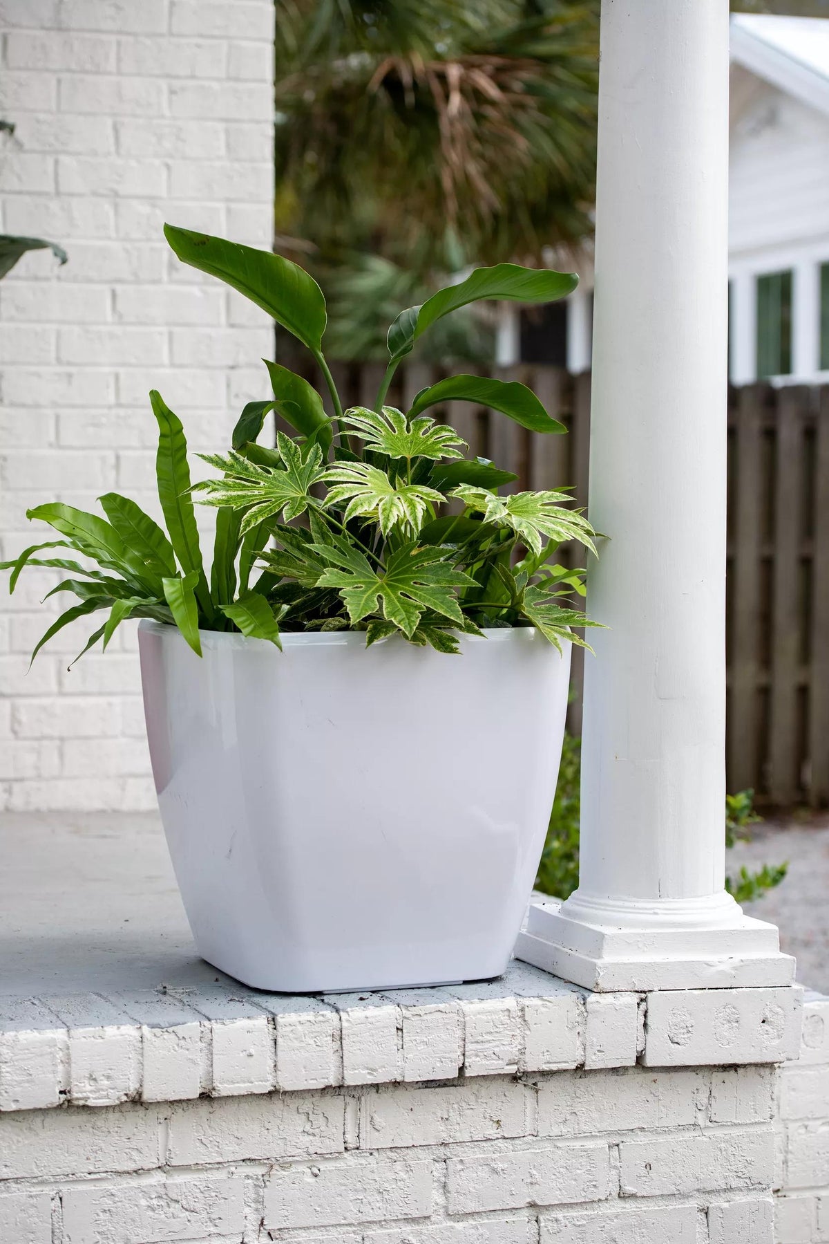 Viva™ Square Self-Watering Rolling Planter, 20" Diameter, Set of 2