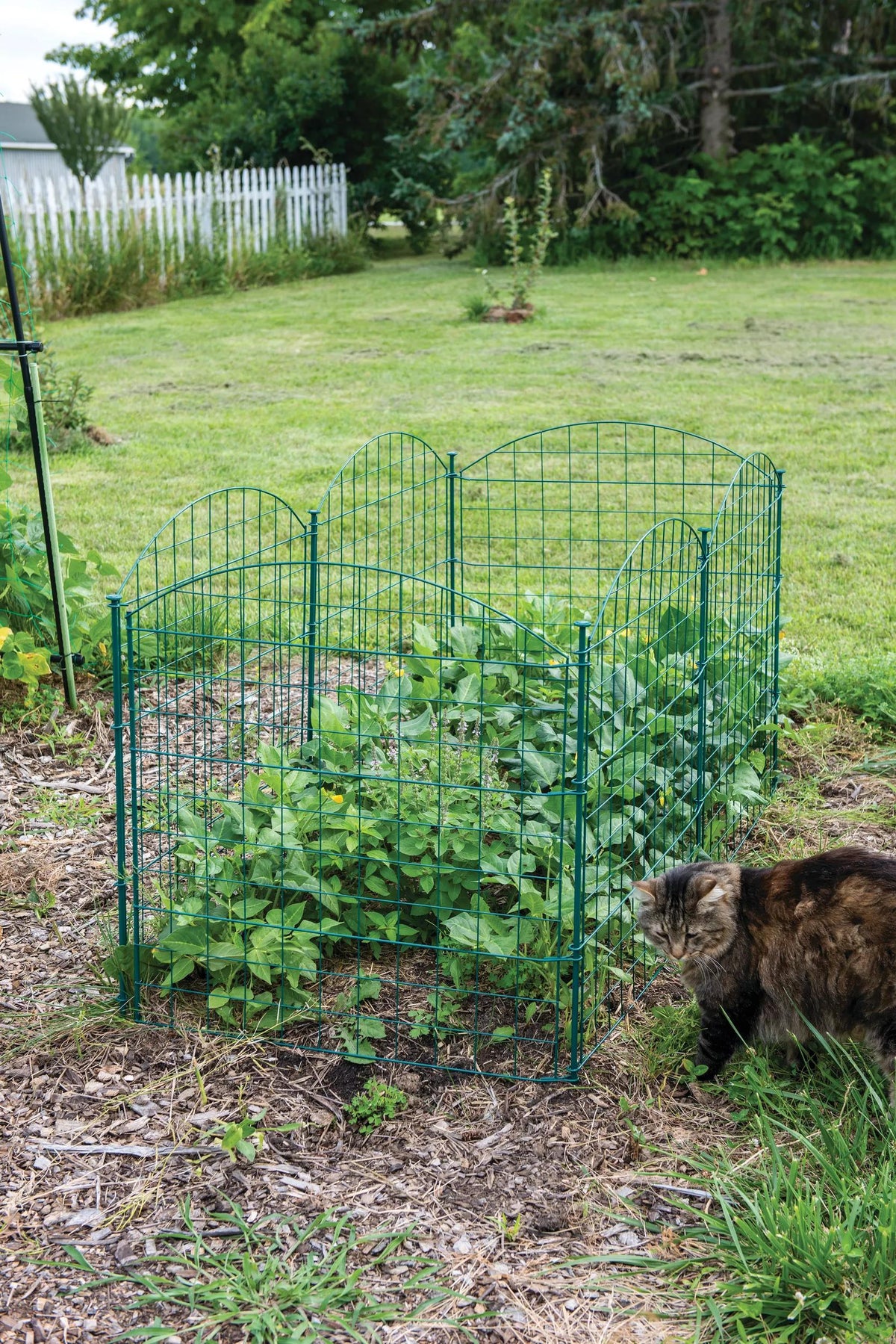 6 Panel Critter Fence with Gate