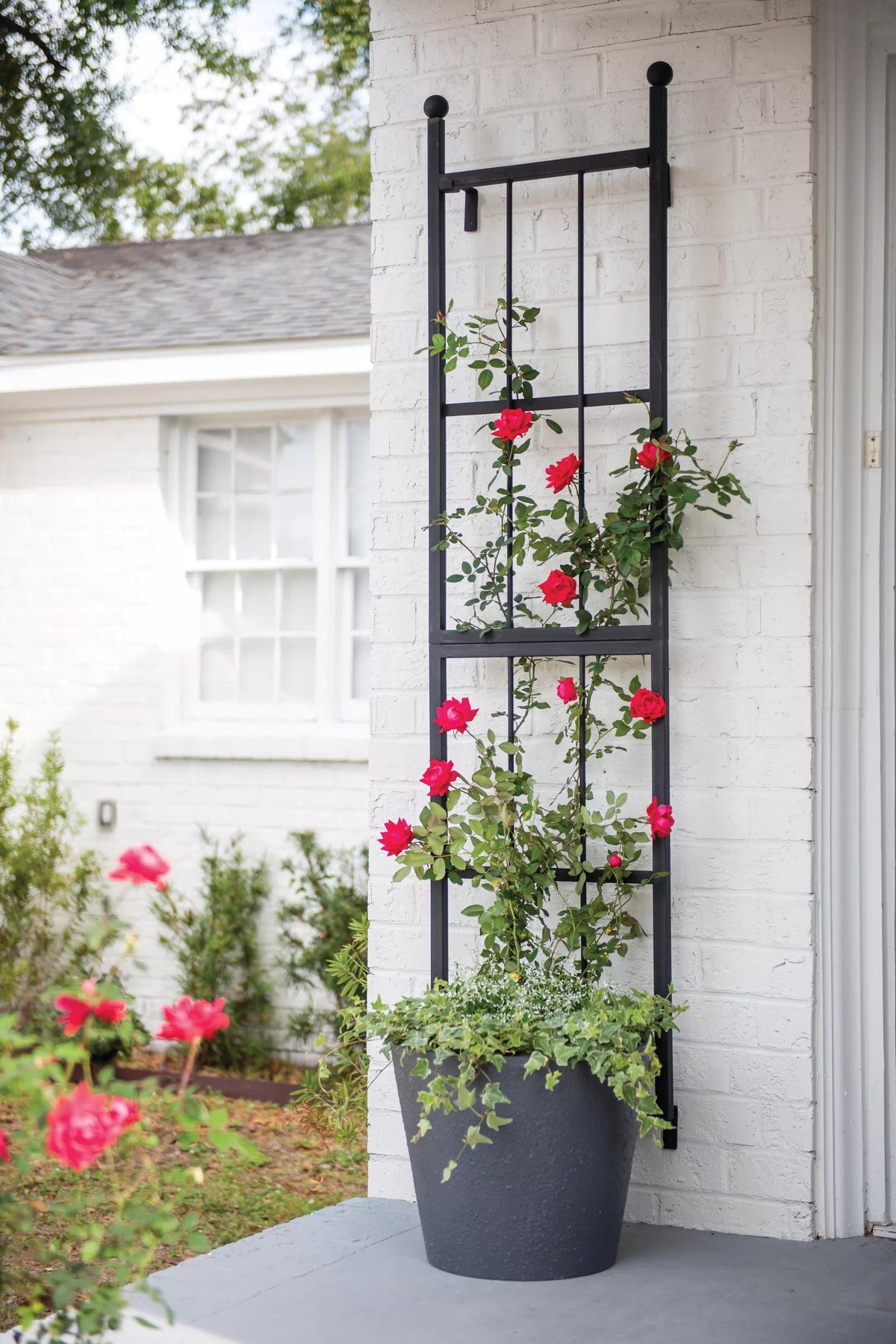 Essex™ Wall Trellis