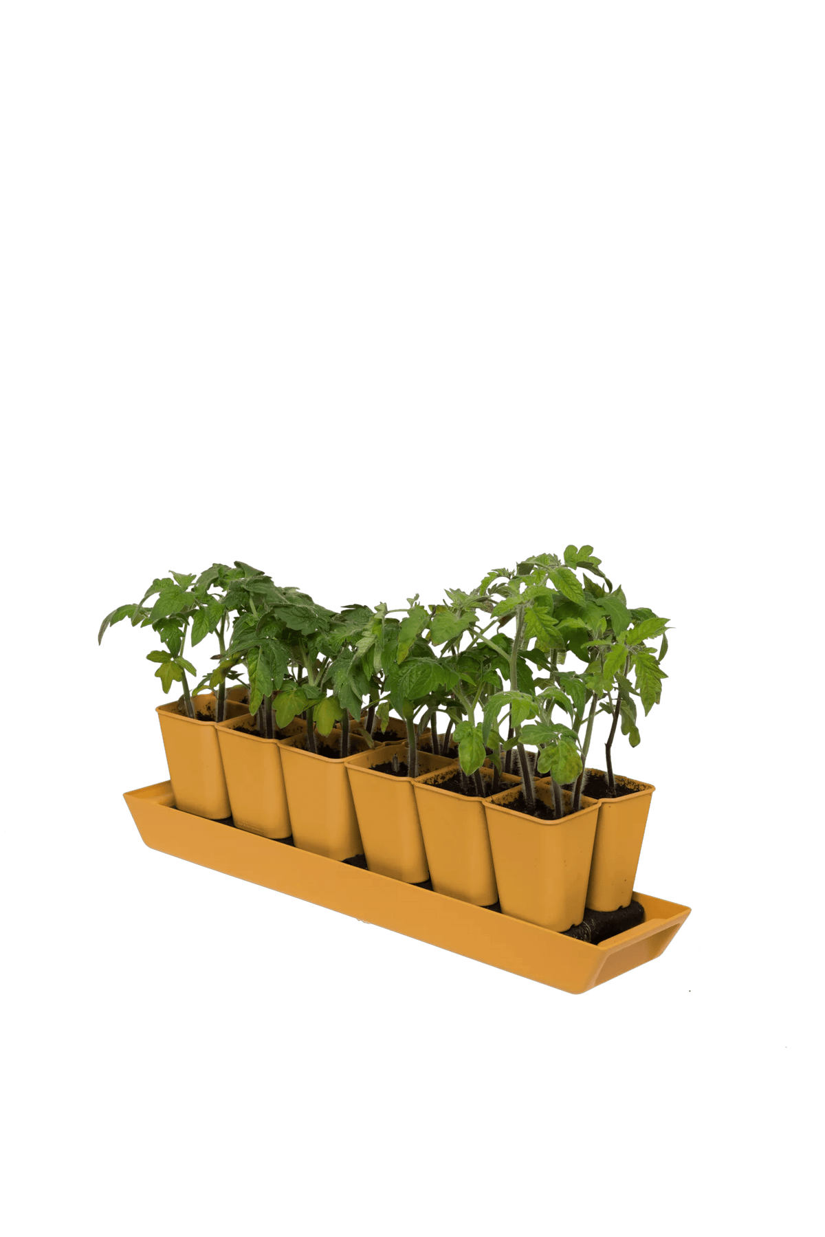 Gardener's Best® XL Seed Starting Kit