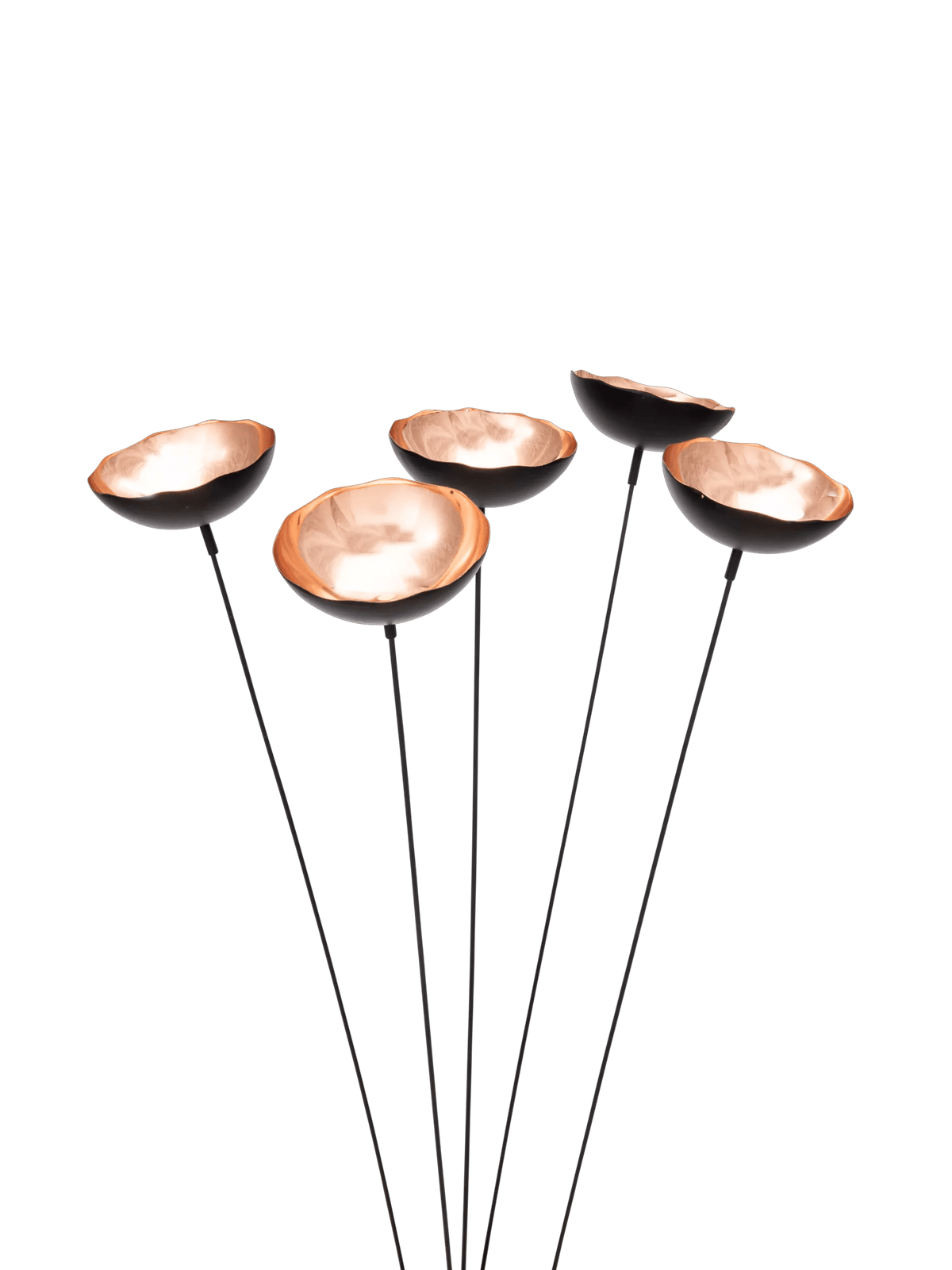 Copper Poppy Sways, Set of 5