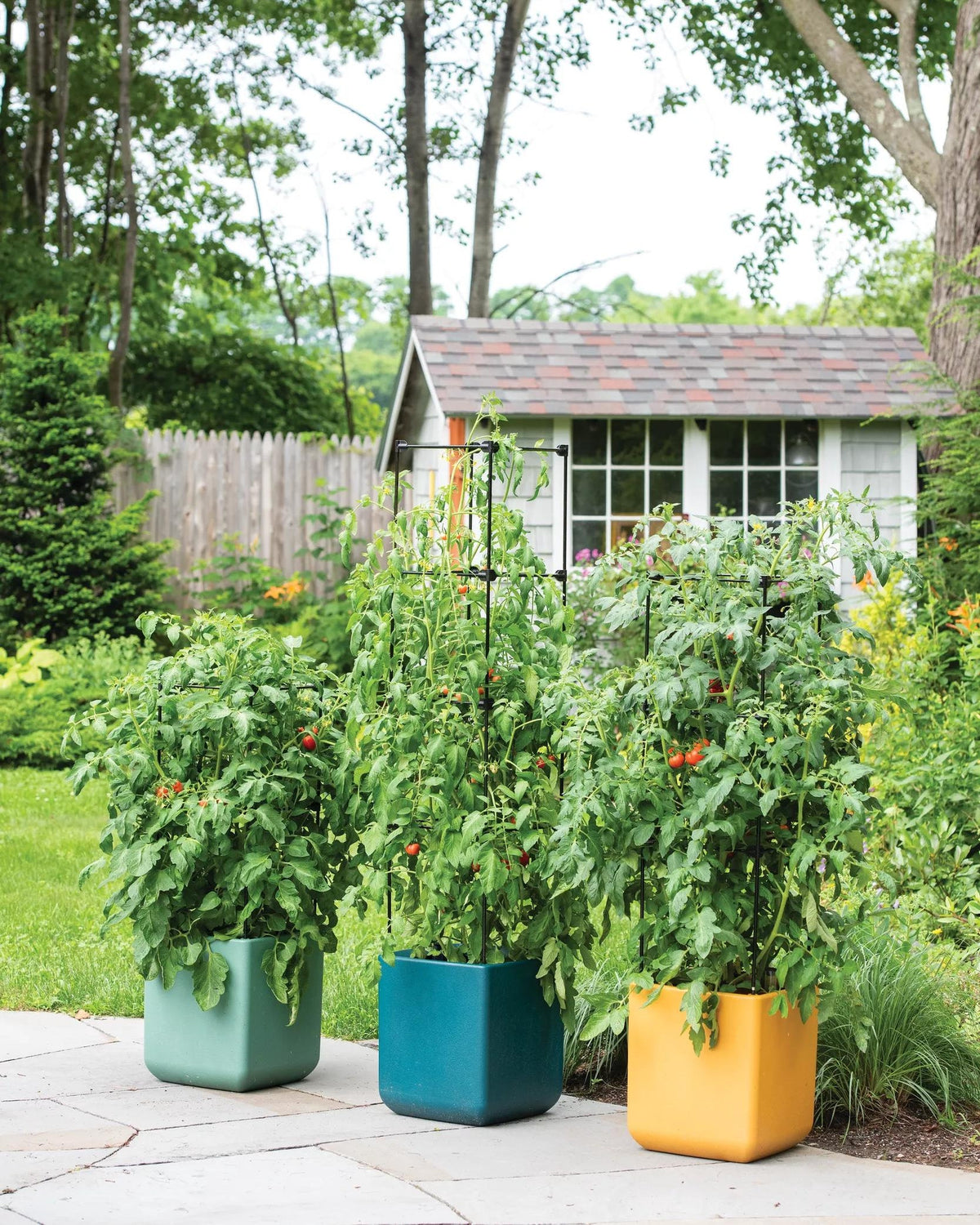 Oasis™ Self-Watering Tomato Planter With Trellis
