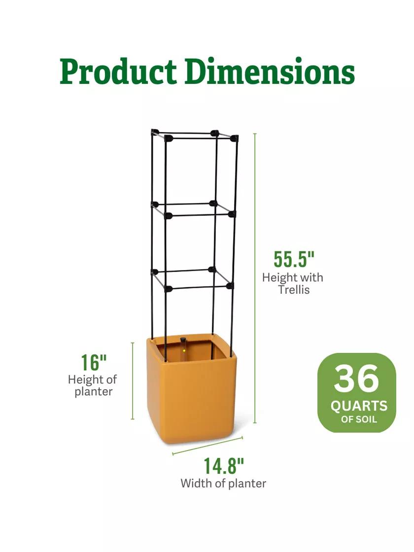 Oasis™ Self-Watering Tomato Planter With Trellis