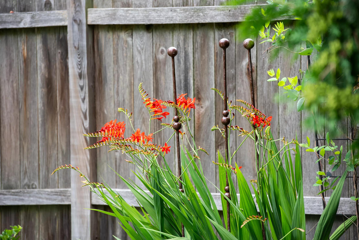 Jardin™ Plant Stakes, Set of 3