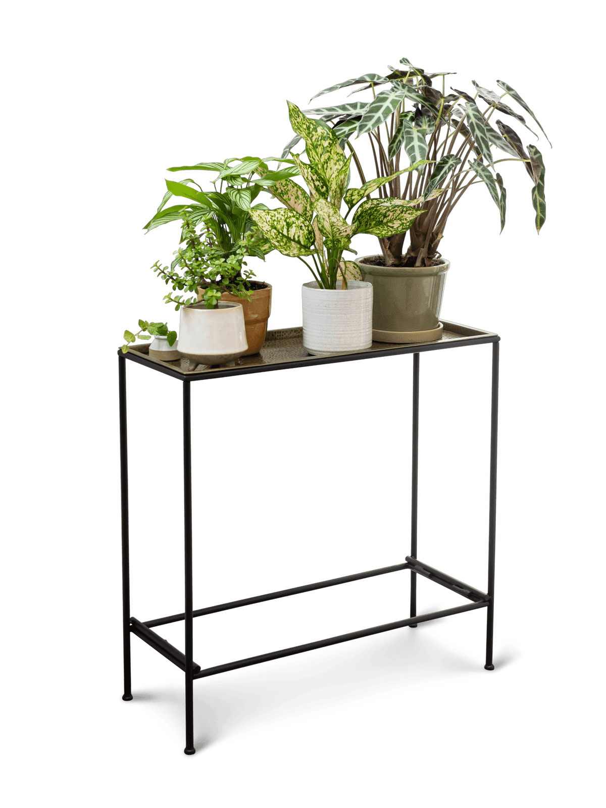 Sleek & Slender Plant Stand Side Table