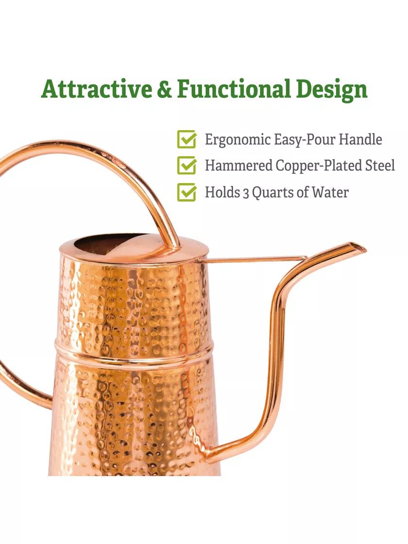 Copper Indoor Watering Can