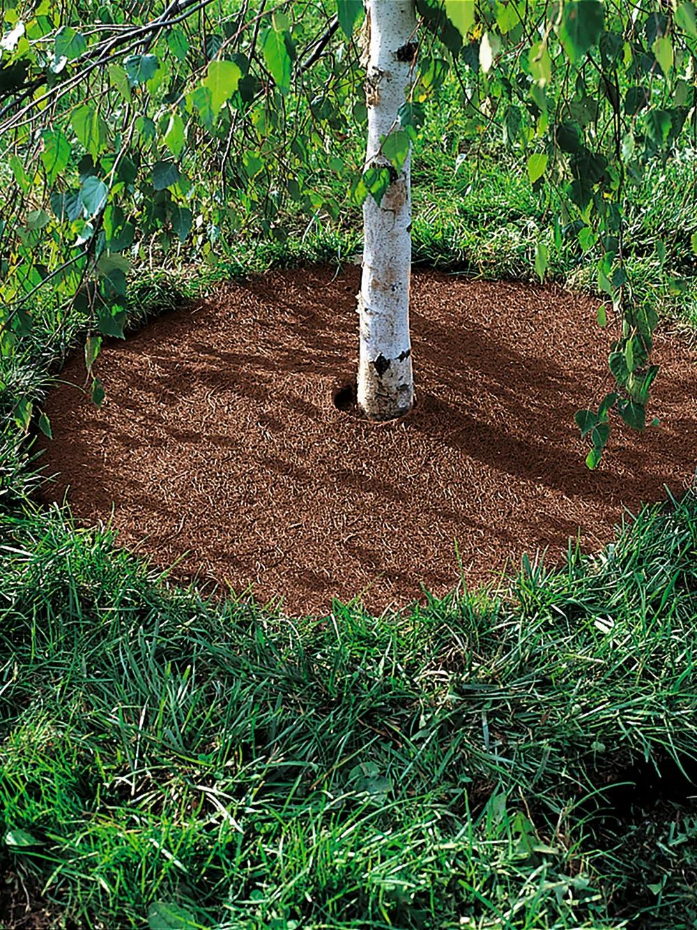 Coco Coir Tree Rings 36", Set of 2