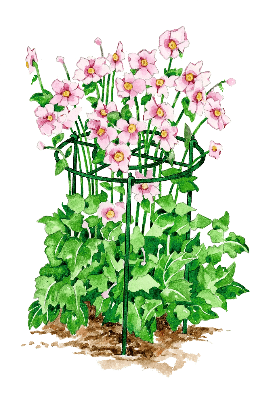 Grow Through Supports, Set of 3