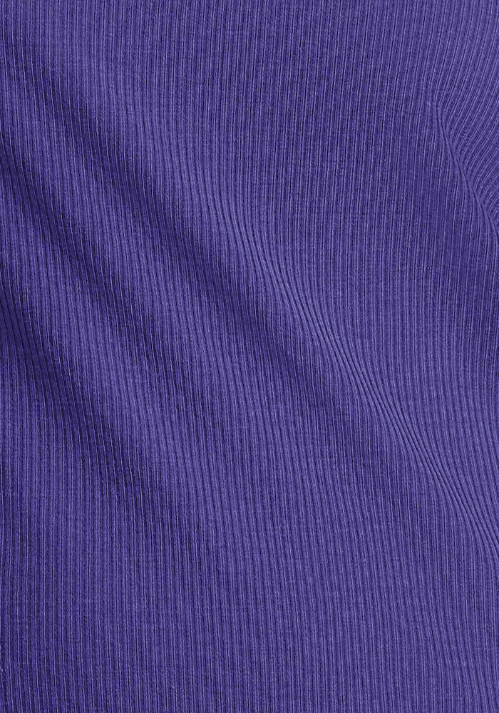 Harlowe Ribbed Dress - Berry Indigo