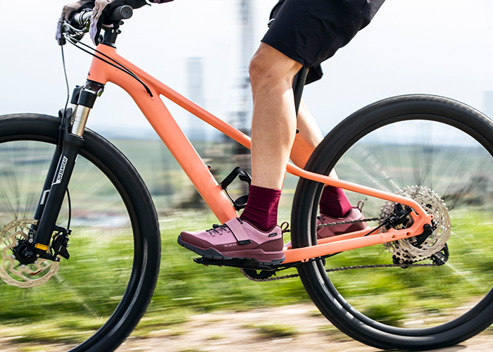 Pedaling Prowess