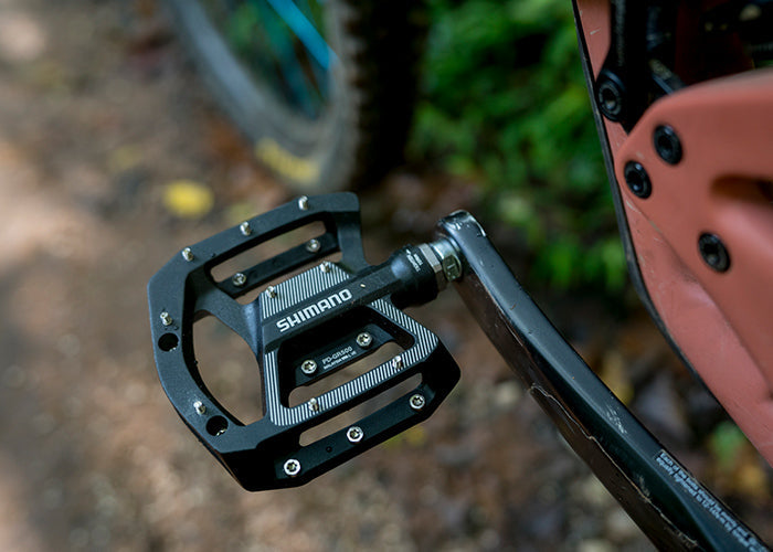 Low Maintenance & Durable