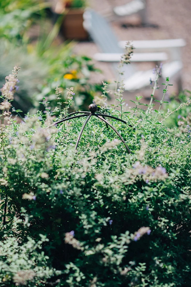 Jardin™ Bird Cage Support