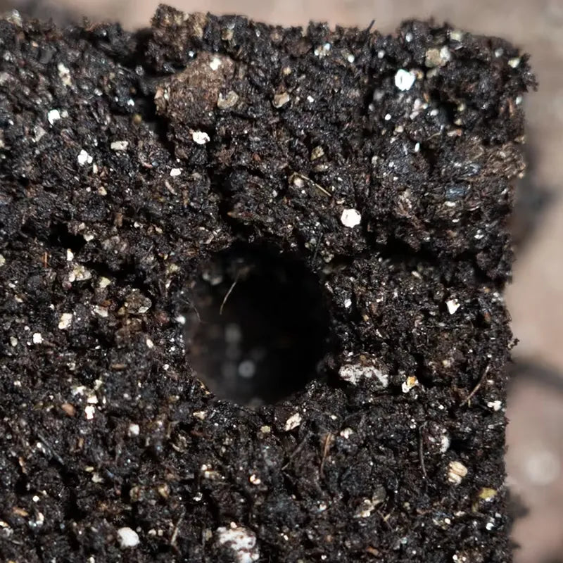 Soil Blocker 8 CELL