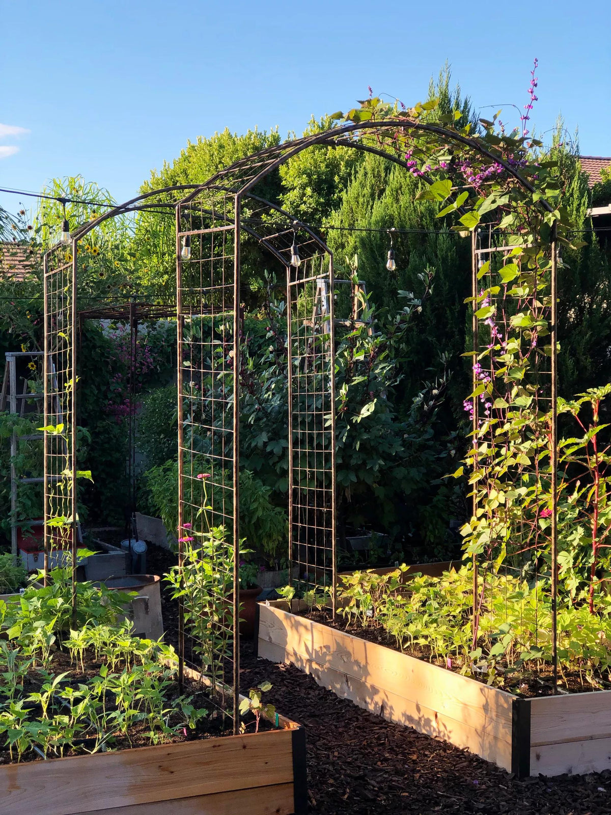 Jardin™ Rose Arch