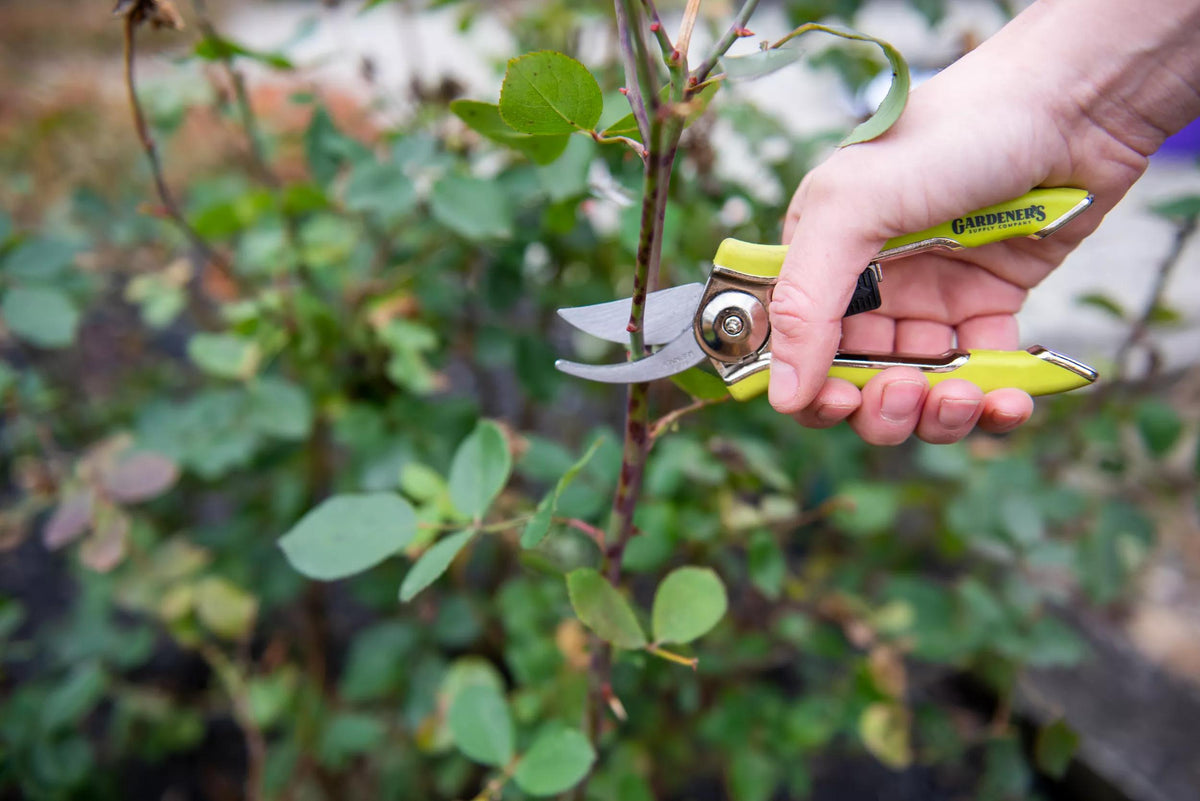 Pocket Pruners