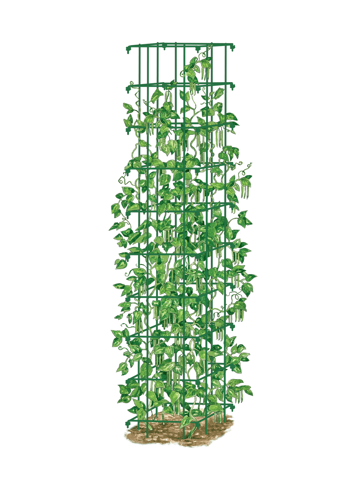 Bean Tower