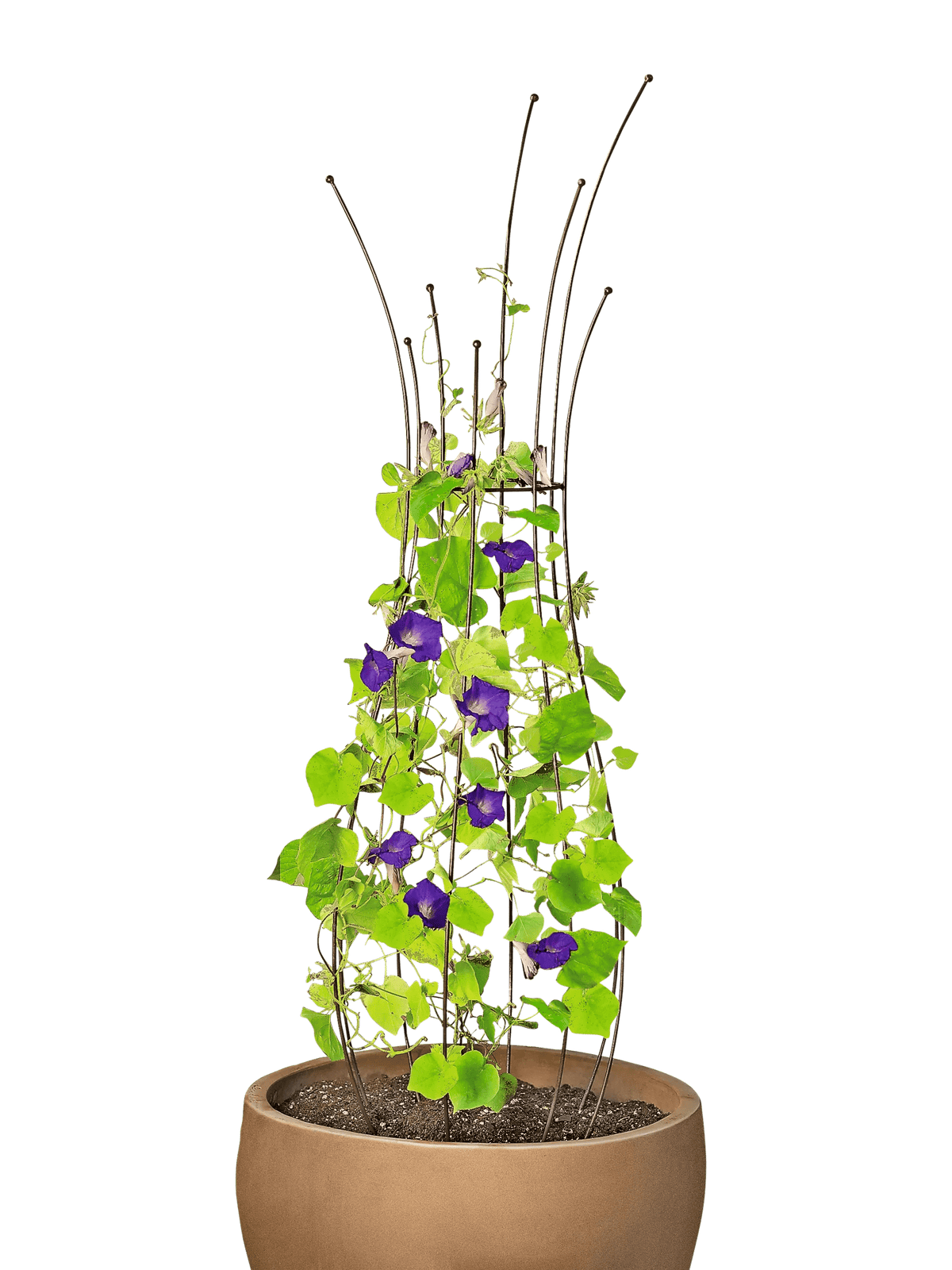 Jardin™ Pot Trellis