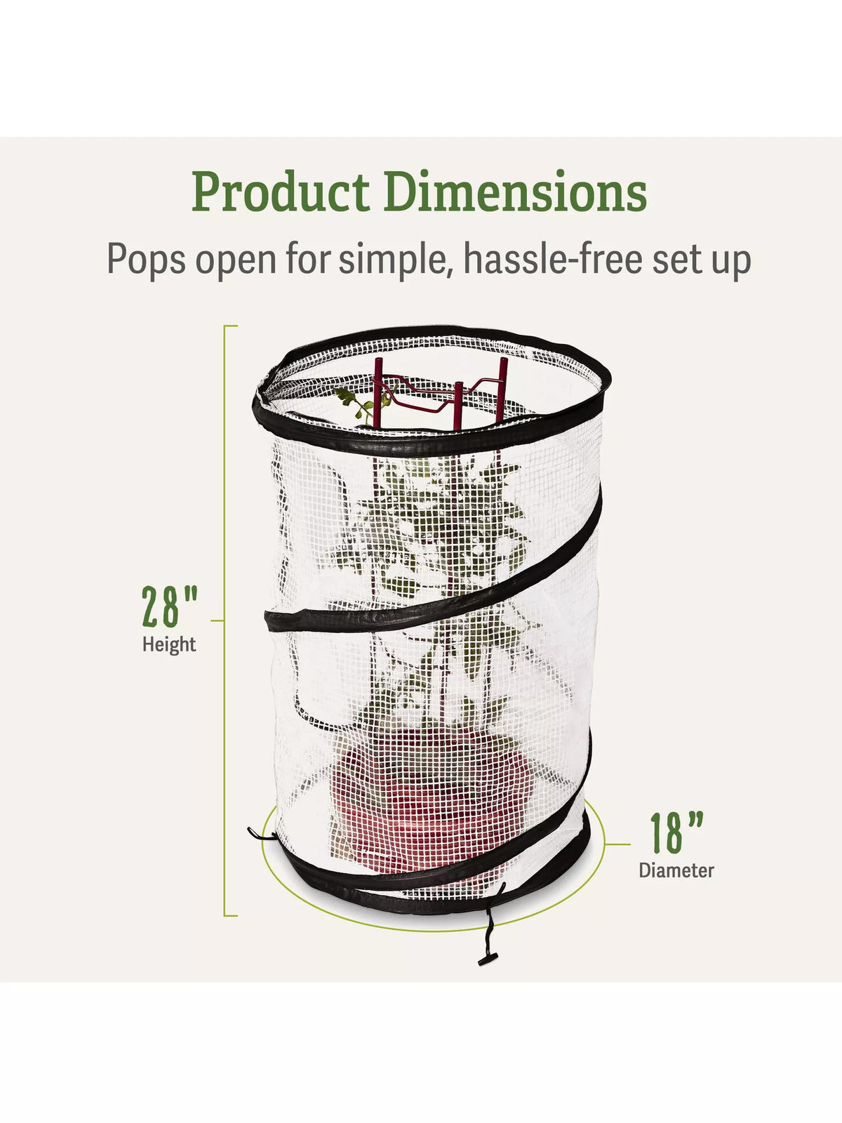 Pop-Up Tomato Accelerator