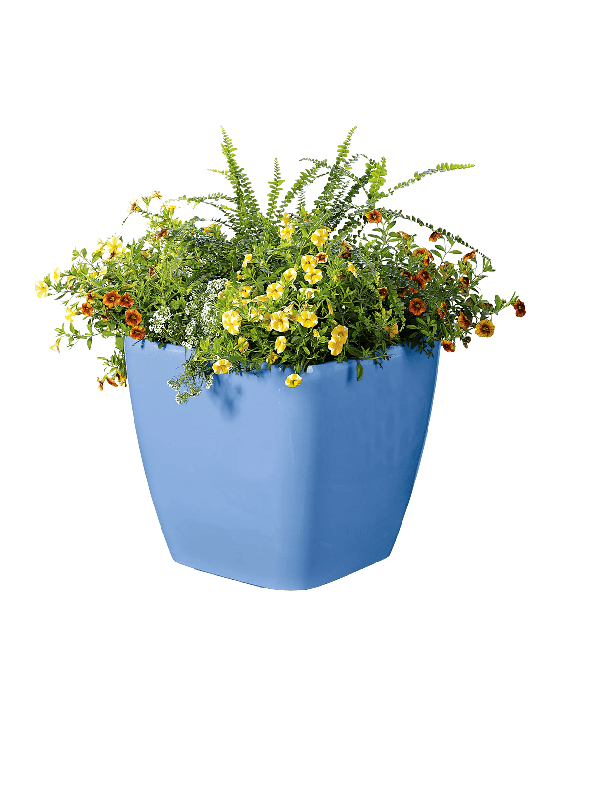 Viva™ Square Self-Watering Rolling Planter, 14" Diameter