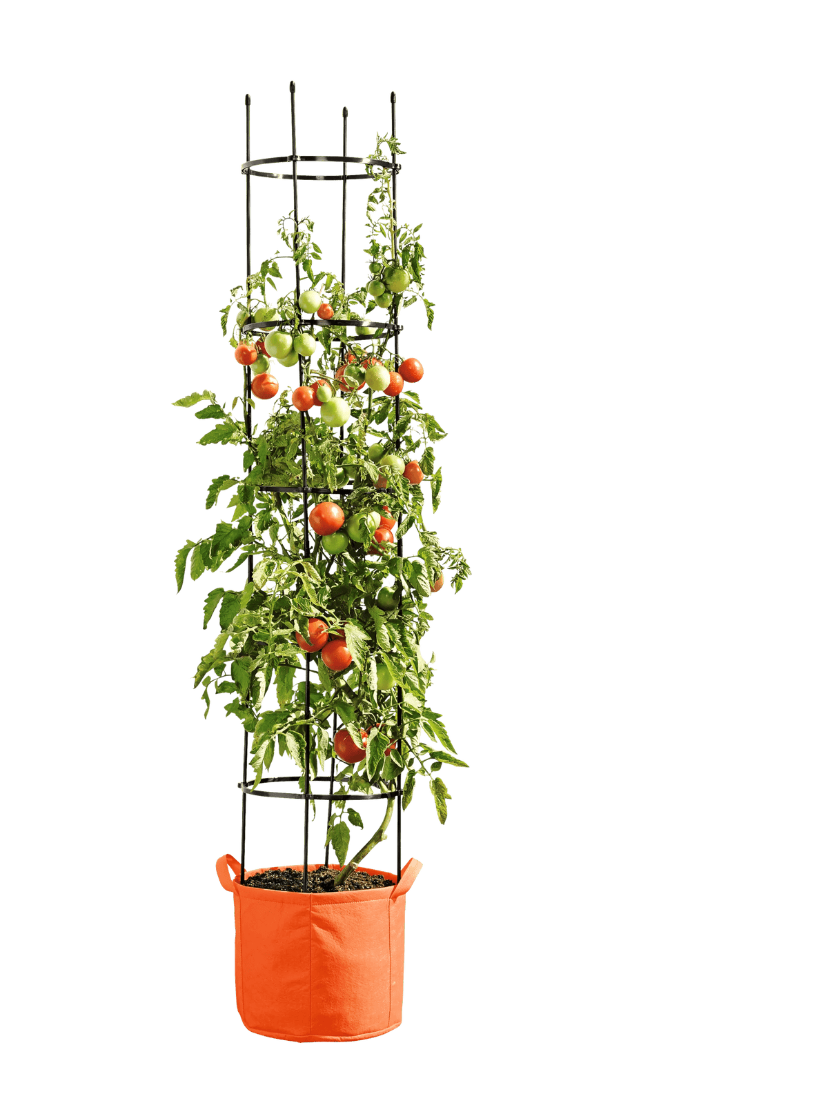 Gardener's Best® Tomato Grow Bag Set
