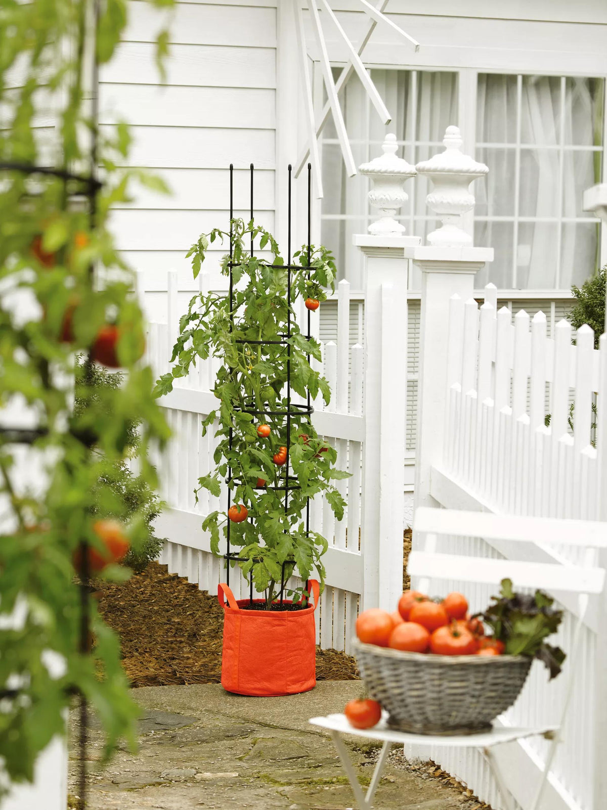 Gardener's Best® Tomato Grow Bag Set