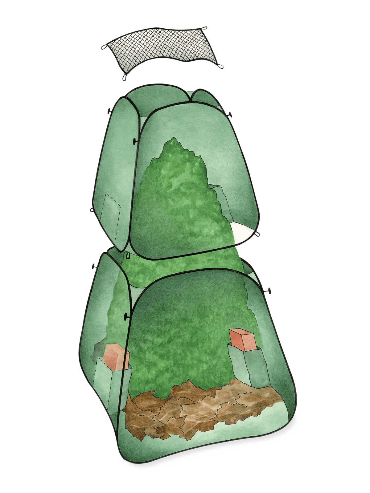 Pop-Up Plant Protector